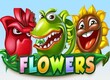 flowers 1